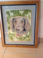 /album/galerie-photos/photo-1384-jpg/